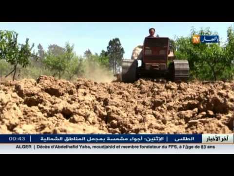 بالفيديو جلب فلاحين صينيين لحل مشكل الزراعة في الجزائر