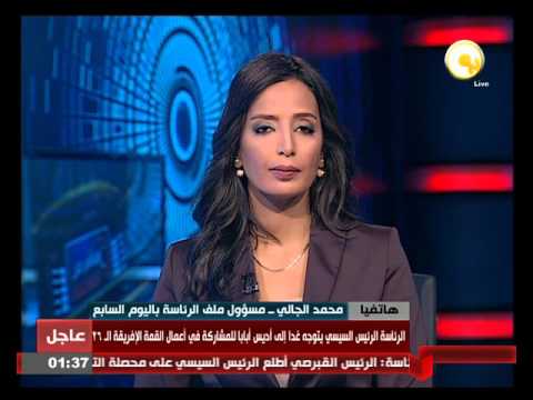 محمد الجالي يؤكد أن زيارة السيسي إلى أديس أبابا للمشاركة في أعمال القمة الإفريقية الـ 26