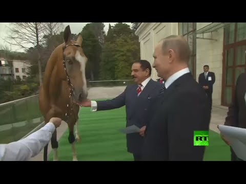 شاهد بوتين يهدي ملك البحرين جوادًا أصيلًا