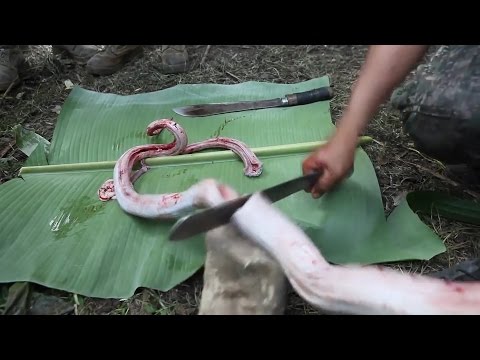 بالفيديو المارينز الأميركي يتعلمون الحياة في أدغال الفلبين