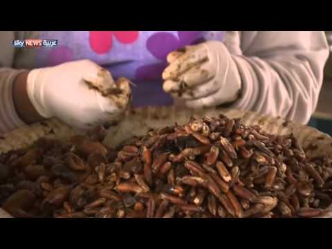 مزارع يصنع القهوة من نواة التمر