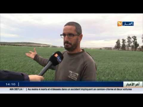 شاهد مساحات وأراضي فلاحية يصيبها الجفاف