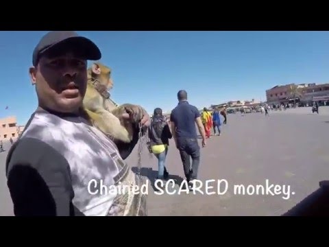 شاهد رد فعل شاب طلب من فتاة 5000 درهم ورفضت