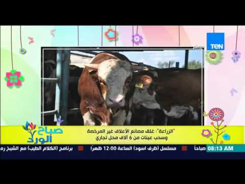 غلق مصانع الأعلاف الغير مرخصة وسحب عينات من 6 آلاف محل تجاري