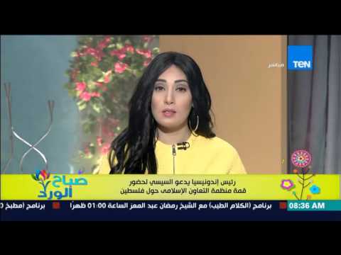 شاهد رئيس إندونيسيا يدعو السيسي لحضور قمة التعاون الإسلامي
