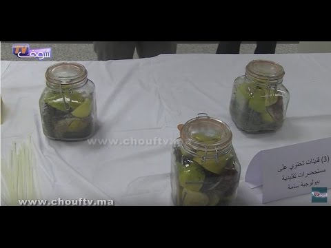 الفيران و الحامض من بين المواد المتفجرة عند خلية أشبال الجهاد