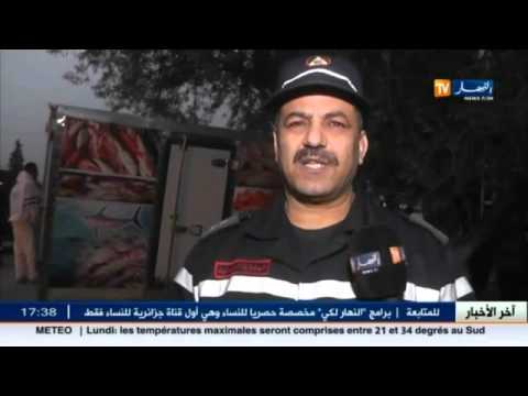 شاهشاهد آخر أخبار قضايا المجتمع الجزائري د آخر أخبار قضايا المجتمع الجزائري