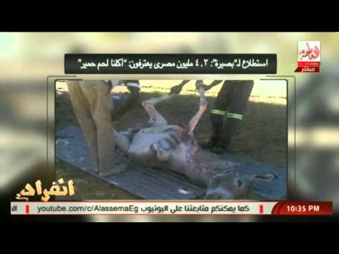 شاهد بالفيديو 43 مليون مصري يعترفون بتناول لحم الحمير
