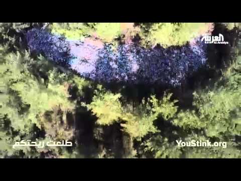 بالفيديو أكوام من النفايات في بيروت