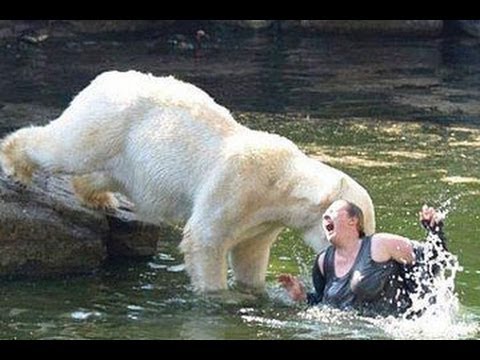 جنون الثيران على الحلبات الدولية