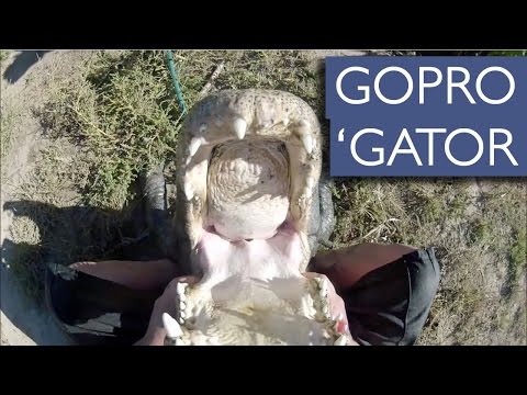  أميركي يمسك بفك تمساح عمره 30 عامًا