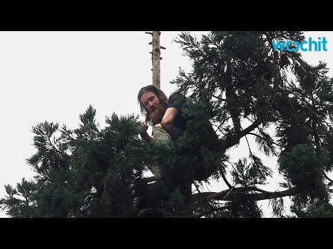 شاهد أميركي يقف أمام القضاء بتهمة التهجم على شجرة