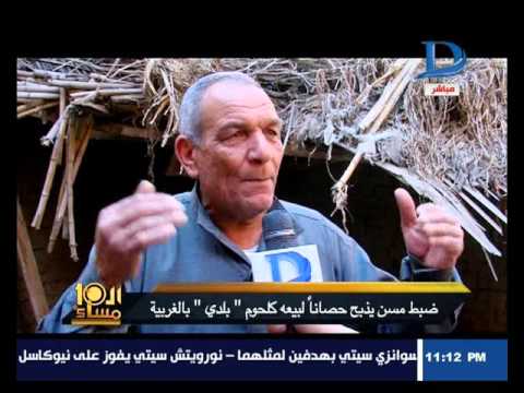بالفيديو داعية سلفي يذبح الخيول ويبيعها للمواطنين 