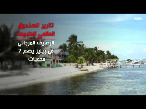 شاهد ممارسات البشر تهدد الطبيعة