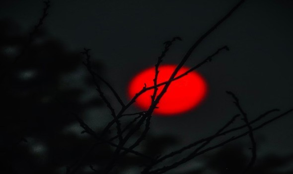  لبنان اليوم - 